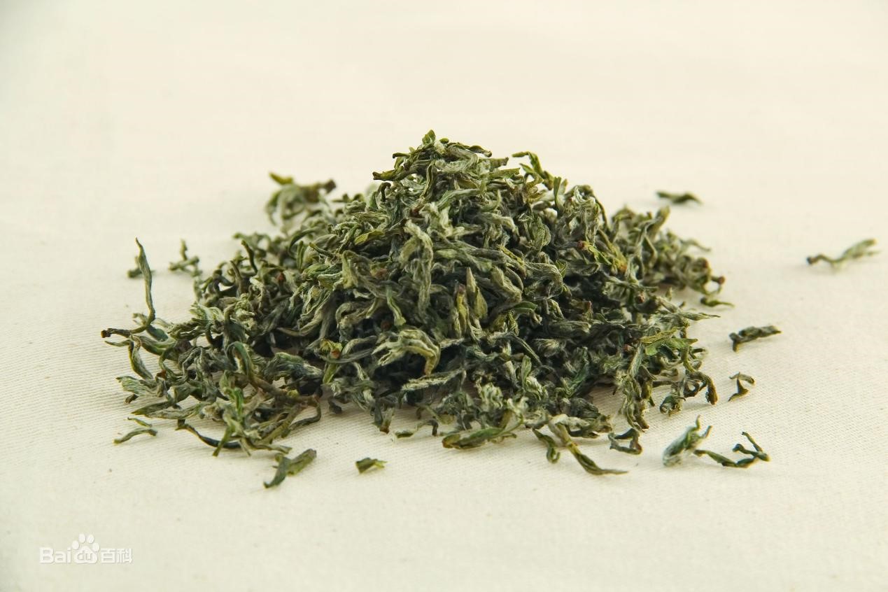 日照绿茶
