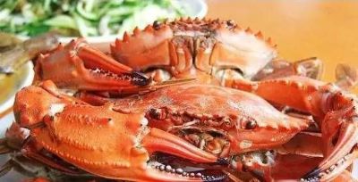 蓬莱赤甲红