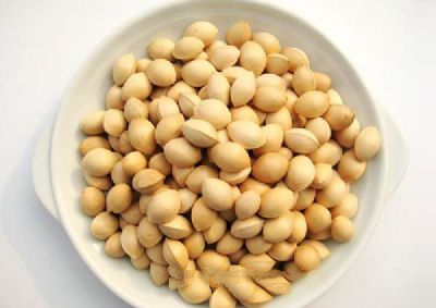 郯城银杏